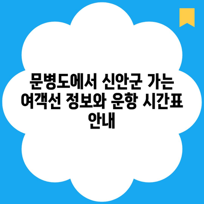 문병도에서 신안군 가는 여객선 정보와 운항 시간표 안내