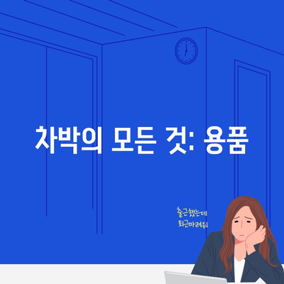 차박의 모든 것: 용품