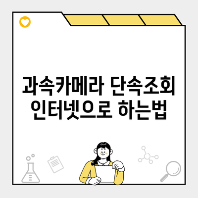 과속카메라 단속조회 인터넷으로 하는법