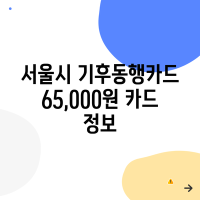 서울시 기후동행카드 65,000원 카드 정보