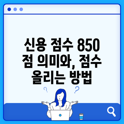 신용 점수 850 점 의미와, 점수 올리는 방법