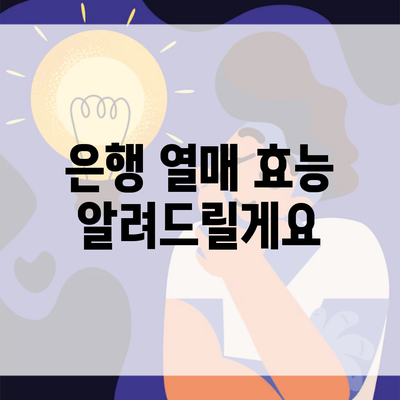 은행 열매 효능 알려드릴게요