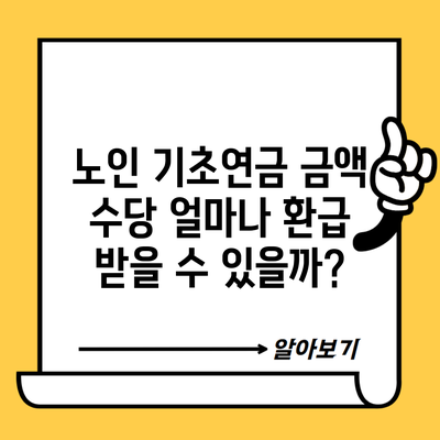 노인 기초연금 금액 수당 얼마나 환급 받을 수 있을까?