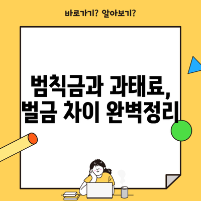 범칙금과 과태료, 벌금 차이 완벽정리