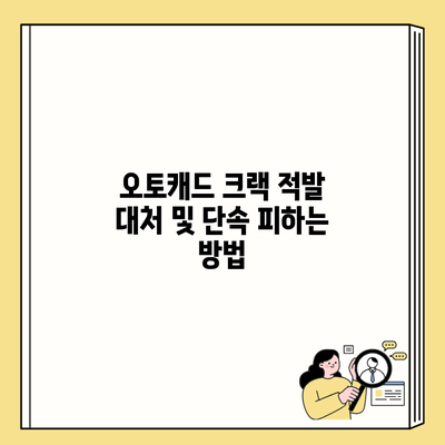 오토캐드 크랙 적발 대처 및 단속 피하는 방법