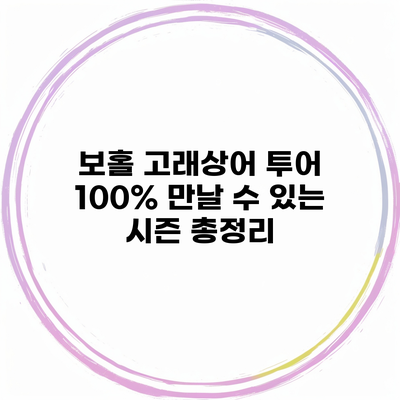 보홀 고래상어 투어 100% 만날 수 있는 시즌 총정리