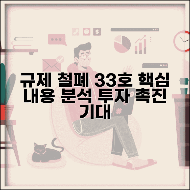 규제철폐안 33호 정책 주요 내용 및 핵심 분석