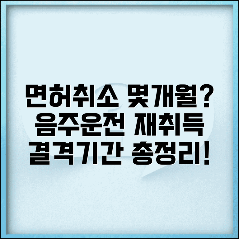 음주운전 면허취소 기간 몇 개월 | 면허 재취득 절차 및 조건 총정리